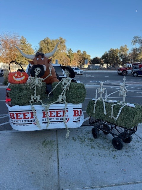 Trunk of treat trunk