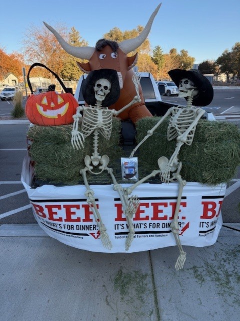 Trunk or treat close up